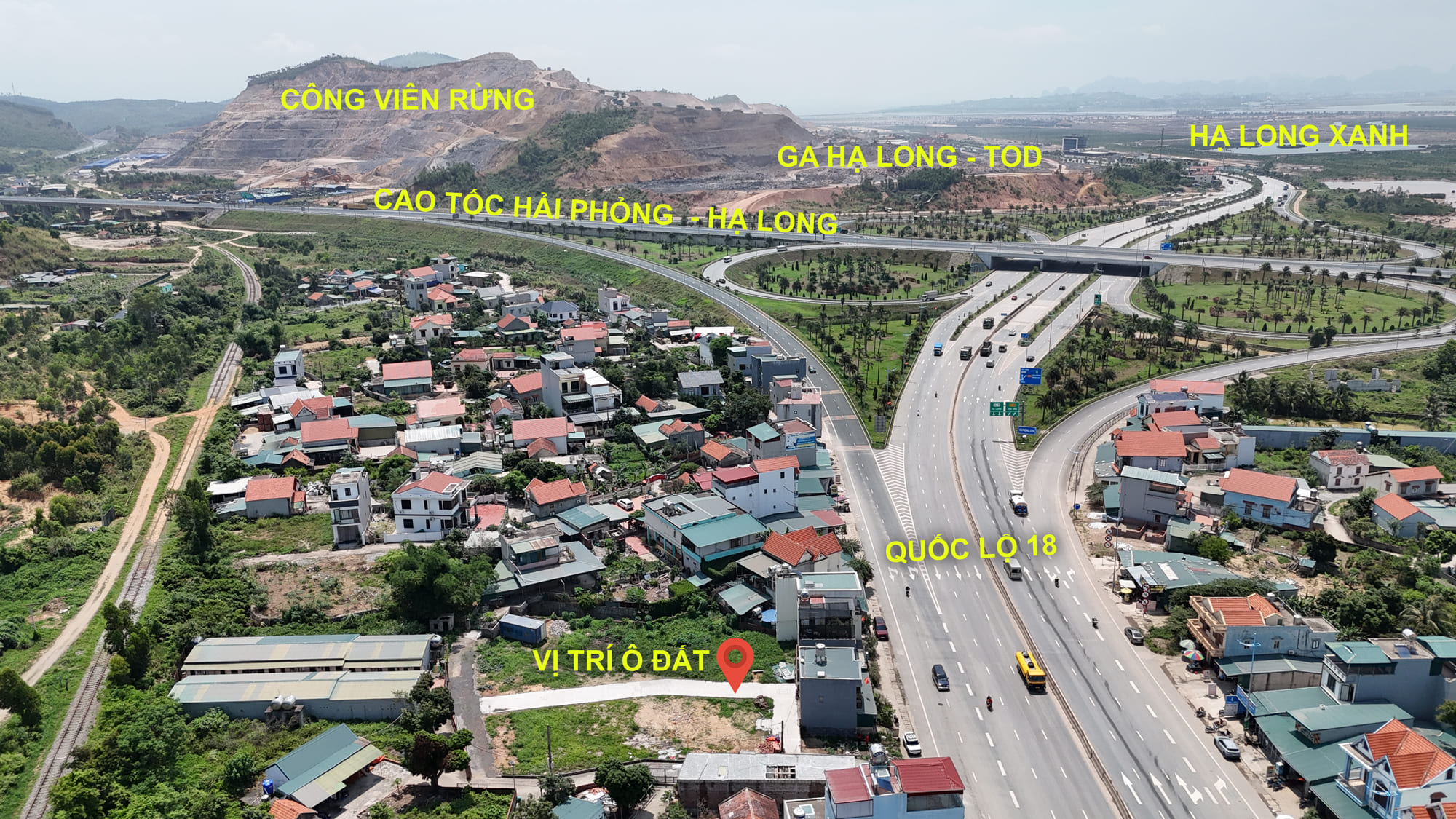 2026-10-20/Đại-yen.jpg